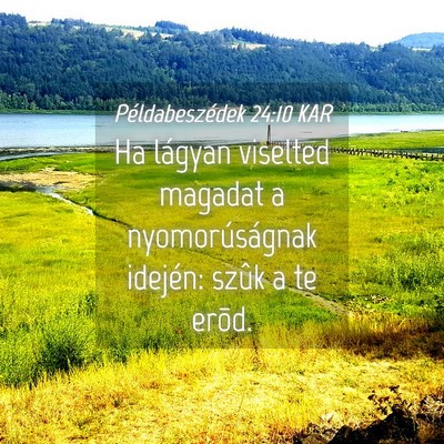 Picture 04 - Példabeszédek 24:10 KAR - Ha lágyan viselted magadat a nyomorúságnak - Bible Verse Picture