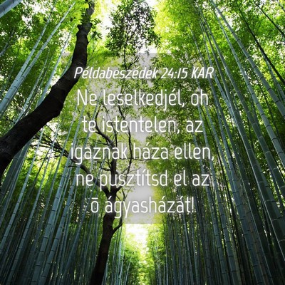 Picture 04 - Példabeszédek 24:15 KAR - Ne leselkedjél, oh te istentelen, az igaznak - Bible Verse Picture