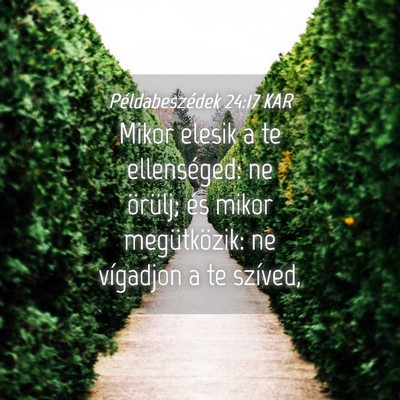 Picture 04 - Példabeszédek 24:17 KAR - Mikor elesik a te ellenséged: ne örülj; és - Bible Verse Picture