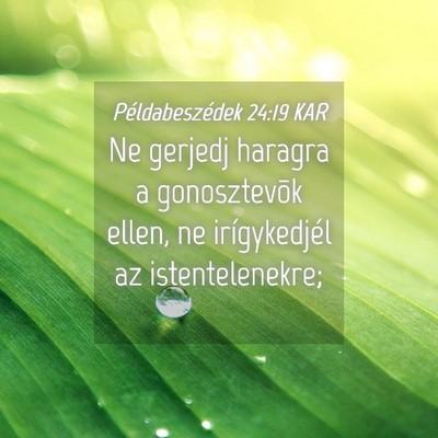 Picture 04 - Példabeszédek 24:19 KAR - Ne gerjedj haragra a gonosztevõk ellen, ne - Bible Verse Picture