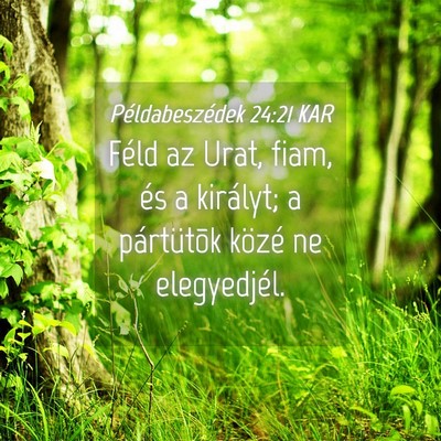 Picture 04 - Példabeszédek 24:21 KAR - Féld az Urat, fiam, és a királyt; a - Bible Verse Picture