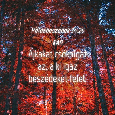 Picture 04 - Példabeszédek 24:26 KAR - Ajkakat csókolgat az, a ki igaz beszédeket - Bible Verse Picture