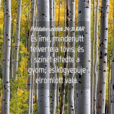 Picture 04 - Példabeszédek 24:31 KAR - És ímé, mindenütt felverte a tövis, és - Bible Verse Picture