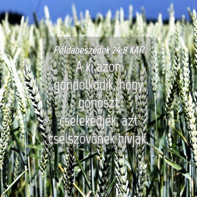 Picture 04 - Példabeszédek 24:8 KAR - A ki azon gondolkodik, hogy gonoszt cselekedjék, - Bible Verse Picture