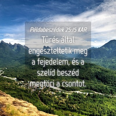 Picture 04 - Példabeszédek 25:15 KAR - Tûrés által engeszteltetik meg a fejedelem, - Bible Verse Picture