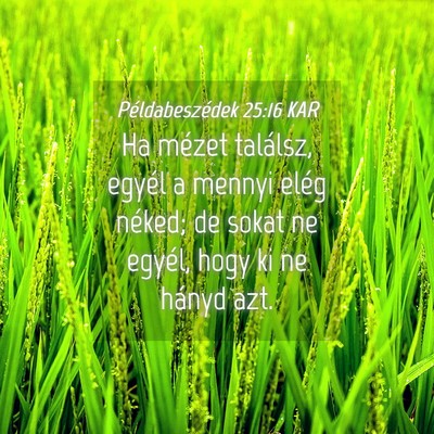 Picture 04 - Példabeszédek 25:16 KAR - Ha mézet találsz, egyél a mennyi elég néked; - Bible Verse Picture