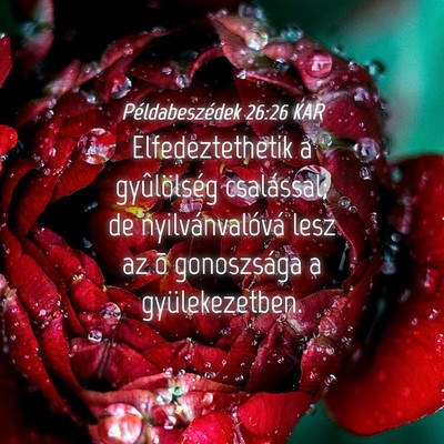 Picture 04 - Példabeszédek 26:26 KAR - Elfedeztethetik a gyûlölség csalással; de - Bible Verse Picture