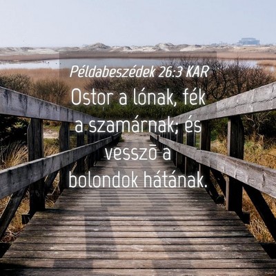 Picture 04 - Példabeszédek 26:3 KAR - Ostor a lónak, fék a szamárnak; és vesszõ a - Bible Verse Picture