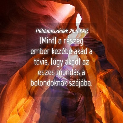 Picture 04 - Példabeszédek 26:9 KAR - [Mint] a részeg ember kezébe akad a tövis, - Bible Verse Picture