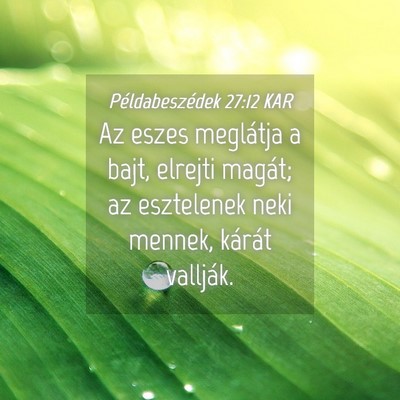 Picture 04 - Példabeszédek 27:12 KAR - Az eszes meglátja a bajt, elrejti magát; az - Bible Verse Picture