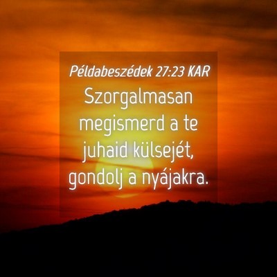 Picture 04 - Példabeszédek 27:23 KAR - Szorgalmasan megismerd a te juhaid külsejét, - Bible Verse Picture