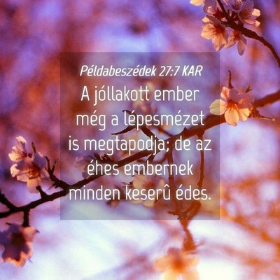 Picture 04 - Példabeszédek 27:7 KAR - A jóllakott ember még a lépesmézet is - Bible Verse Picture