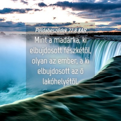 Picture 04 - Példabeszédek 27:8 KAR - Mint a madárka, ki elbujdosott fészkétõl, - Bible Verse Picture