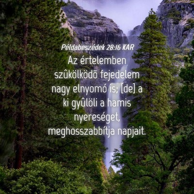 Picture 04 - Példabeszédek 28:16 KAR - Az értelemben szûkölködõ fejedelem nagy - Bible Verse Picture