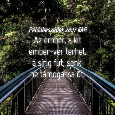Picture 04 - Példabeszédek 28:17 KAR - Az ember, a kit ember-vér terhel, a sírig fut; - Bible Verse Picture