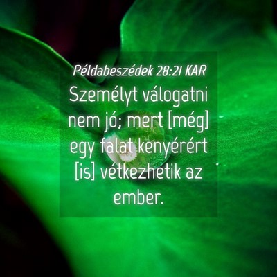 Picture 04 - Példabeszédek 28:21 KAR - Személyt válogatni nem jó; mert [még] egy - Bible Verse Picture
