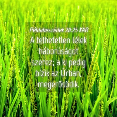 Picture 04 - Példabeszédek 28:25 KAR - A telhetetlen lélek háborúságot szerez; a ki - Bible Verse Picture
