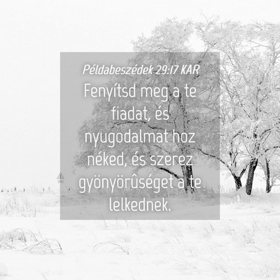 Picture 04 - Példabeszédek 29:17 KAR - Fenyítsd meg a te fiadat, és nyugodalmat hoz - Bible Verse Picture