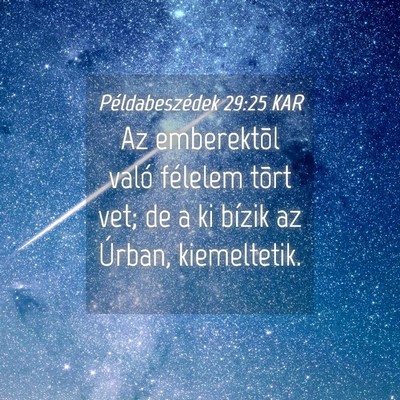 Picture 04 - Példabeszédek 29:25 KAR - Az emberektõl való félelem tõrt vet; de a ki - Bible Verse Picture