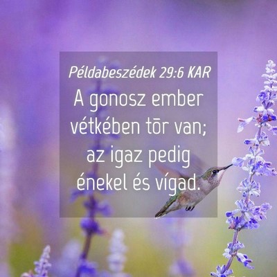 Picture 04 - Példabeszédek 29:6 KAR - A gonosz ember vétkében tõr van; az igaz pedig - Bible Verse Picture