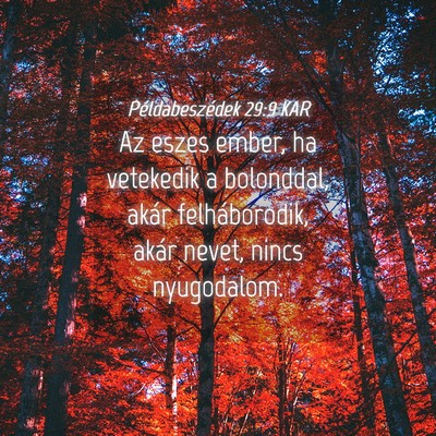 Picture 04 - Példabeszédek 29:9 KAR - Az eszes ember, ha vetekedik a bolonddal, akár - Bible Verse Picture