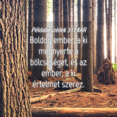 Picture 04 - Példabeszédek 3:13 KAR - Boldog ember, a ki megnyerte a bölcseséget, és - Bible Verse Picture