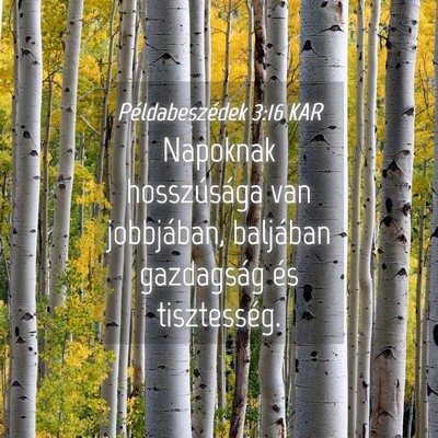Picture 04 - Példabeszédek 3:16 KAR - Napoknak hosszúsága van jobbjában, baljában - Bible Verse Picture