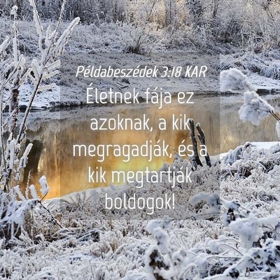 Picture 04 - Példabeszédek 3:18 KAR - Életnek fája ez azoknak, a kik megragadják, - Bible Verse Picture