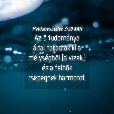 Picture 04 - Példabeszédek 3:20 KAR - Az õ tudománya által fakadtak ki a - Bible Verse Picture