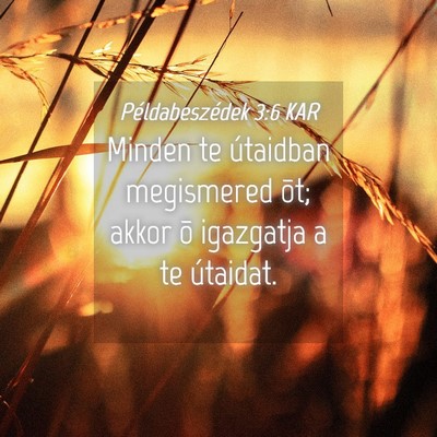 Picture 04 - Példabeszédek 3:6 KAR - Minden te útaidban megismered õt; akkor õ - Bible Verse Picture