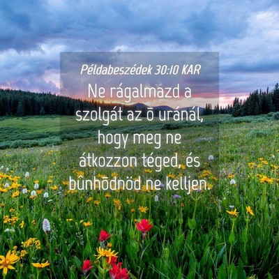 Picture 04 - Példabeszédek 30:10 KAR - Ne rágalmazd a szolgát az õ uránál, hogy meg - Bible Verse Picture