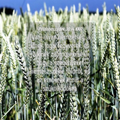 Picture 04 - Példabeszédek 30:14 KAR - [Van] olyan nemzetség, a kinek fogai fegyverek, - Bible Verse Picture