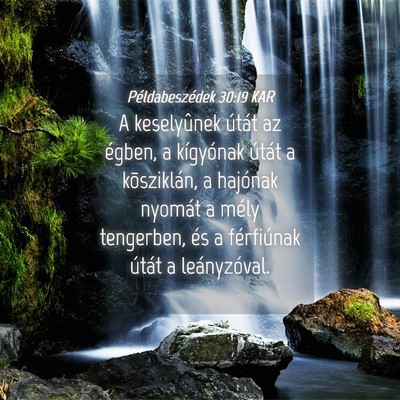 Picture 04 - Példabeszédek 30:19 KAR - A keselyûnek útát az égben, a kígyónak - Bible Verse Picture