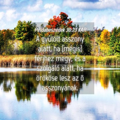 Picture 04 - Példabeszédek 30:23 KAR - A gyûlölt asszony alatt, ha [mégis] férjhez - Bible Verse Picture