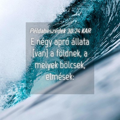Picture 04 - Példabeszédek 30:24 KAR - E négy apró állata [van] a földnek, a melyek - Bible Verse Picture