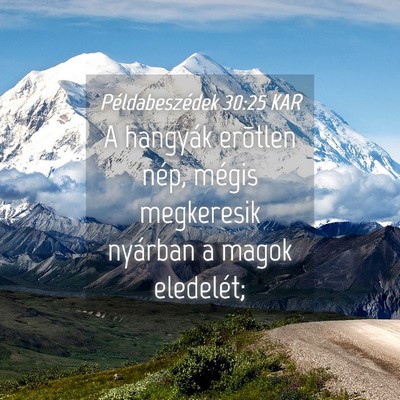 Picture 04 - Példabeszédek 30:25 KAR - A hangyák erõtlen nép, mégis megkeresik - Bible Verse Picture