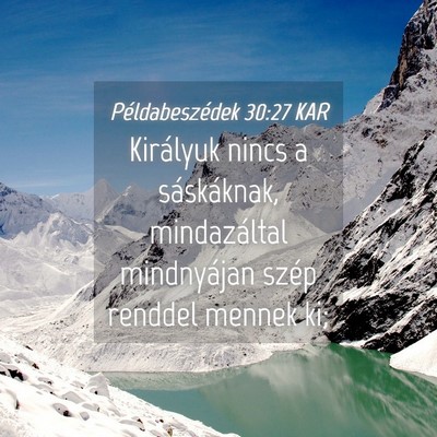 Picture 04 - Példabeszédek 30:27 KAR - Királyuk nincs a sáskáknak, mindazáltal - Bible Verse Picture