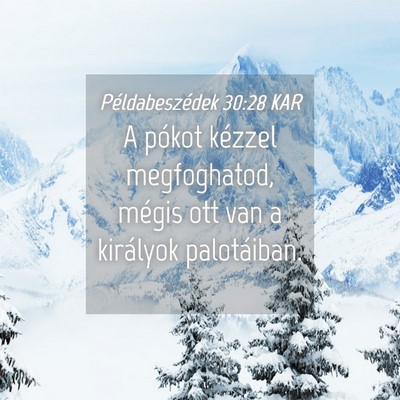 Picture 04 - Példabeszédek 30:28 KAR - A pókot kézzel megfoghatod, mégis ott van a - Bible Verse Picture