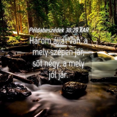 Picture 04 - Példabeszédek 30:29 KAR - Három állat van, a mely szépen jár, sõt - Bible Verse Picture