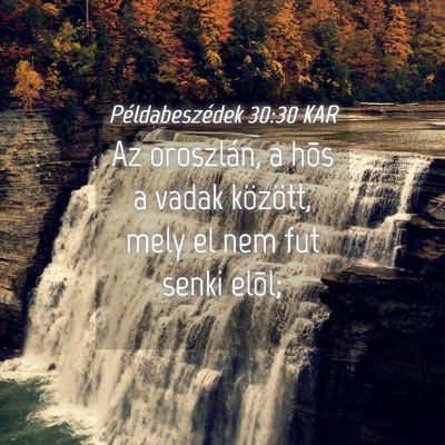 Picture 04 - Példabeszédek 30:30 KAR - Az oroszlán, a hõs a vadak között, mely el - Bible Verse Picture