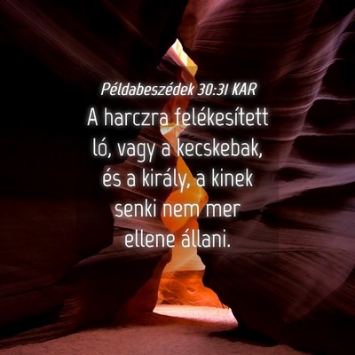 Picture 04 - Példabeszédek 30:31 KAR - A harczra felékesített ló, vagy a kecskebak, - Bible Verse Picture