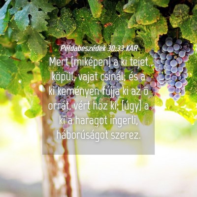 Picture 04 - Példabeszédek 30:33 KAR - Mert [miképen] a ki tejet köpül, vajat - Bible Verse Picture
