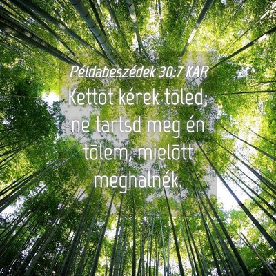 Picture 04 - Példabeszédek 30:7 KAR - Kettõt kérek tõled; ne tartsd meg én tõlem, - Bible Verse Picture