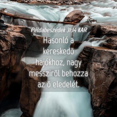 Picture 04 - Példabeszédek 31:14 KAR - Hasonló a kereskedõ hajókhoz, nagy messzirõl - Bible Verse Picture