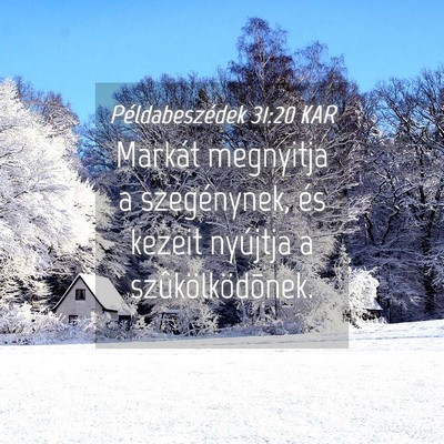 Picture 04 - Példabeszédek 31:20 KAR - Markát megnyitja a szegénynek, és kezeit - Bible Verse Picture