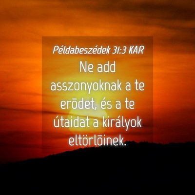 Picture 04 - Példabeszédek 31:3 KAR - Ne add asszonyoknak a te erõdet, és a te - Bible Verse Picture