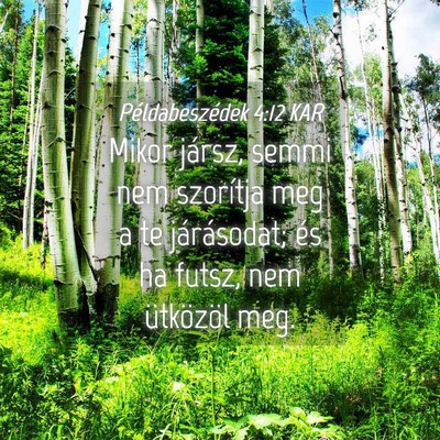 Picture 04 - Példabeszédek 4:12 KAR - Mikor jársz, semmi nem szorítja meg a te - Bible Verse Picture