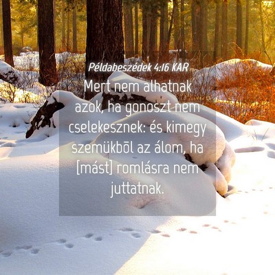 Picture 04 - Példabeszédek 4:16 KAR - Mert nem alhatnak azok, ha gonoszt nem - Bible Verse Picture