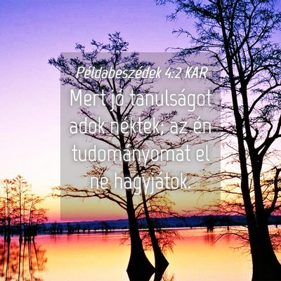Picture 04 - Példabeszédek 4:2 KAR - Mert jó tanulságot adok néktek; az én - Bible Verse Picture