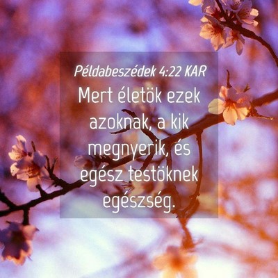 Picture 04 - Példabeszédek 4:22 KAR - Mert életök ezek azoknak, a kik megnyerik, és - Bible Verse Picture